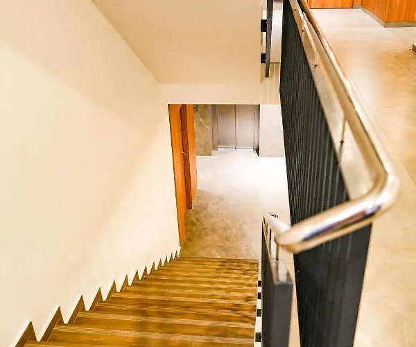 House & Free Heart *